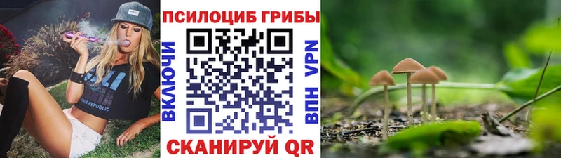 Галлюциногенные грибы мухоморы  даркнет сайт  Прокопьевск 