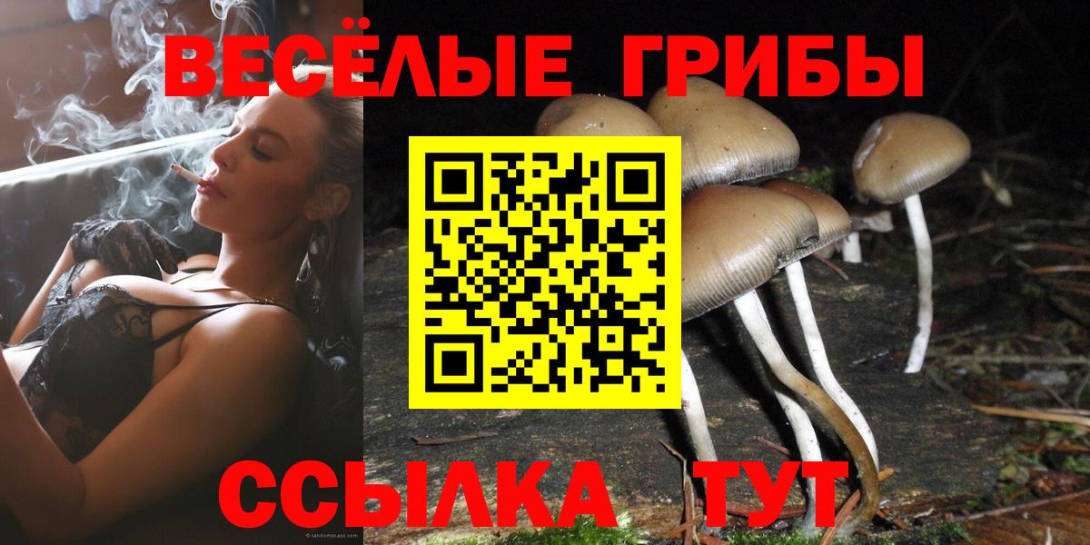 где продают   Вход с VPN  Прокопьевск  Галлюциногенные грибы MAGIC MUSHROOMS 